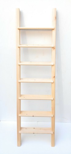 Ladder pegs bunk bed - bunk, attic