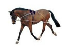 Pessoa style training aid