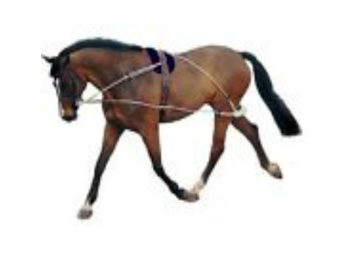 Pessoa style training aid