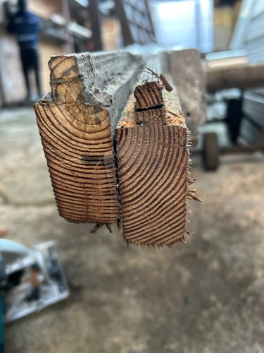 Pitch pine douglas - pine, glass