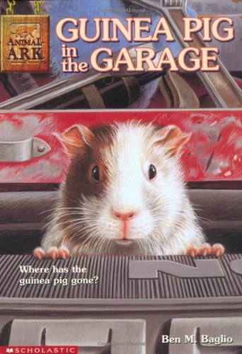 Guinea pig the - guinea, garage