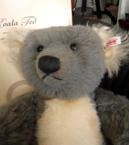 Steiff koala ted - koala, growler
