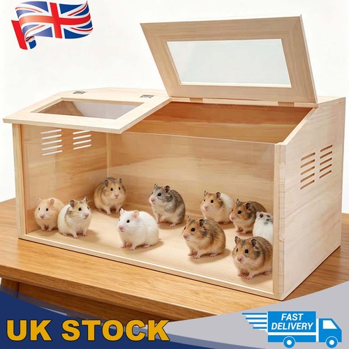 Solid wood hamster guinea - wood, pig