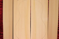 Spanish cypress flamenco