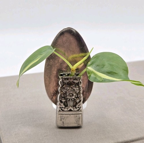 Silver spoon vintage lapel - lapel, bud