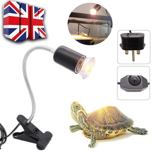 Reptile heat light - light, bulb