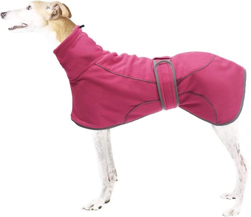 New greyhound whippet - new,