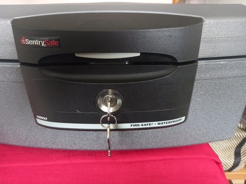 Sentrysafe h2100 dark grey - sentrysafe,