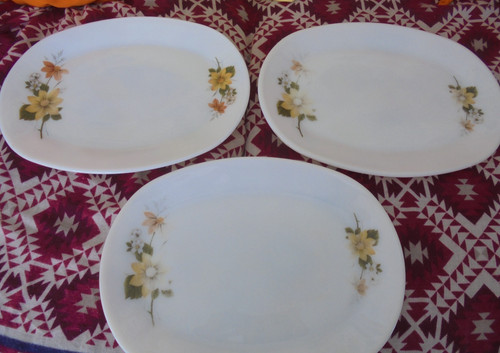 Pyrex oval steak - oval, x3