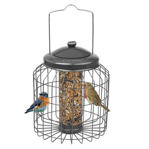 Squirrel proof hanging bird - proof,