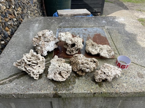 10kg pack marine - 10kg, reef