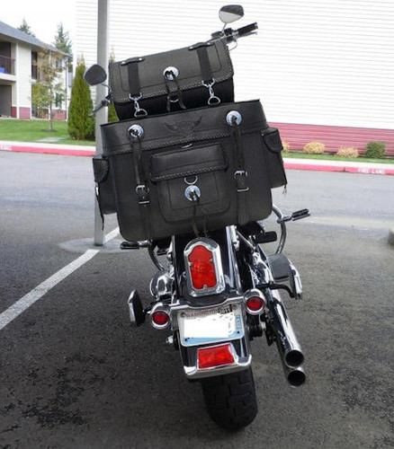 Motorcycle leather sissy bar - sissy,