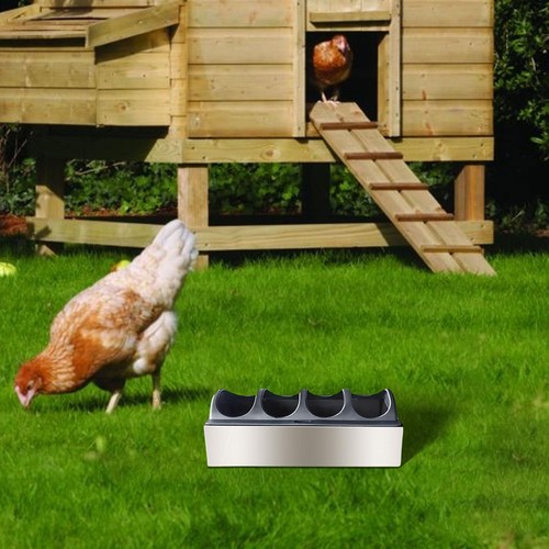 Chicken feeder trough multi - chicken,