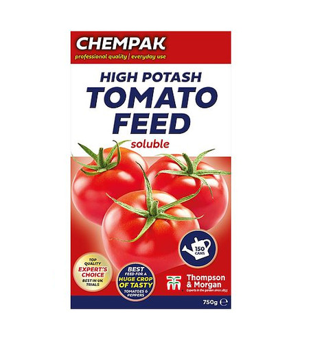 Chempak tomato plant feed - plant,