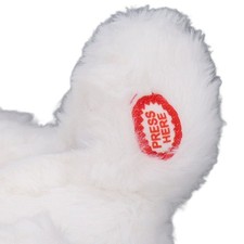 Electronic Plush Chicken Toy