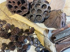 Botanicals Pack for Shrimp