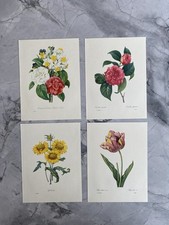 Original vintage botanical /