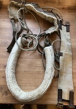 Pessoa Style Training Aid With