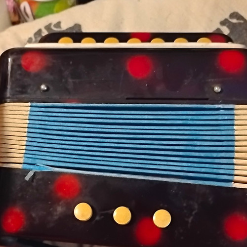 Vintage button accordion black - button,