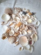 Joblot of Vintage Mixed Sea