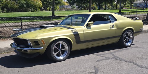 1970 ford mustang - mustang,