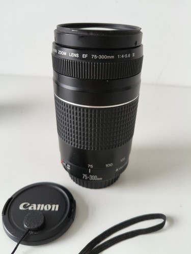 Canon 300mm 5 6 iii - canon, f/4-5.6