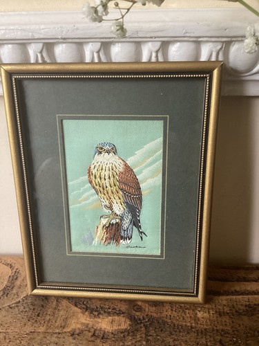 Cash peregrine falcon - j,