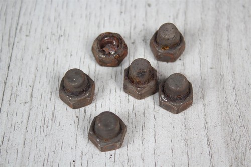 Toilet nuts screw - , manure