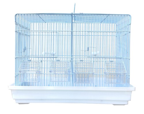 Divided bird flight - bird, breeding
