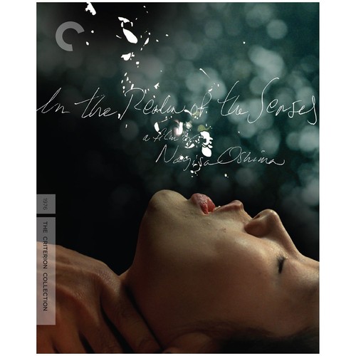 The realm senses - the,