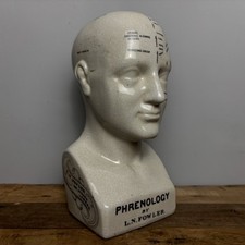 Ceramic Phrenology Head Bust -