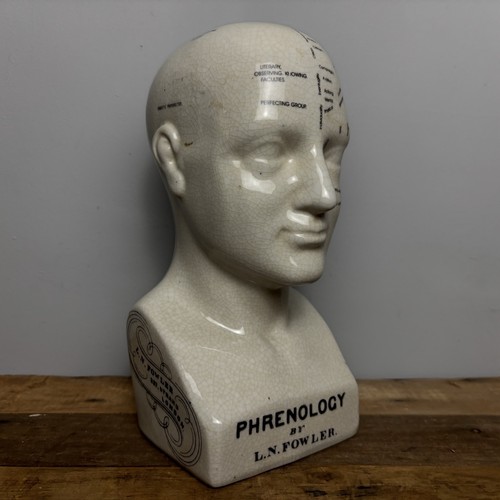 Ceramic phrenology head - phrenology, bust