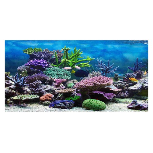 Tiiyee fish tank background - fish,
