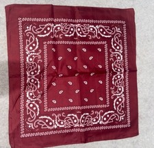 PAISLEY BANDANA MOUTH