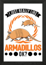 Armadillo Gift Framed Wall Art