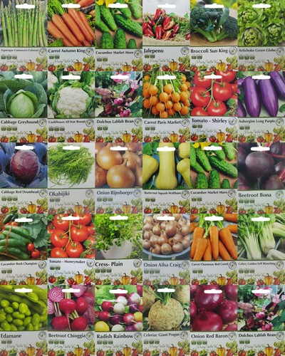 Vegetable seeds pictorial - vegetable,
