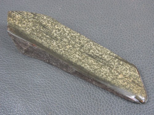 Unusual natural tam - unusual, o