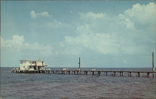 Anna maria florida fishing - maria,