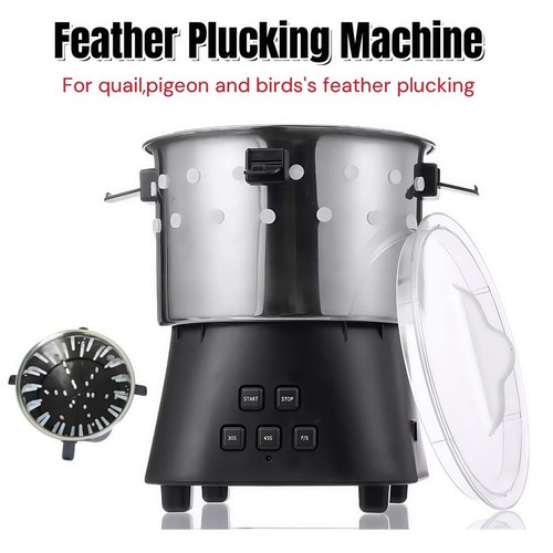 110v 220v electric chicken - 110v/220v,