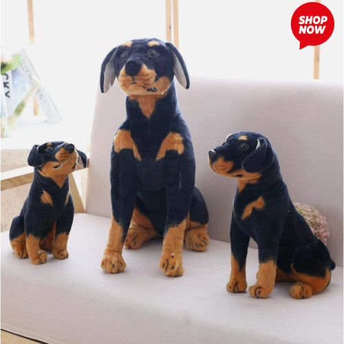 Large sitting rottweiler - large,