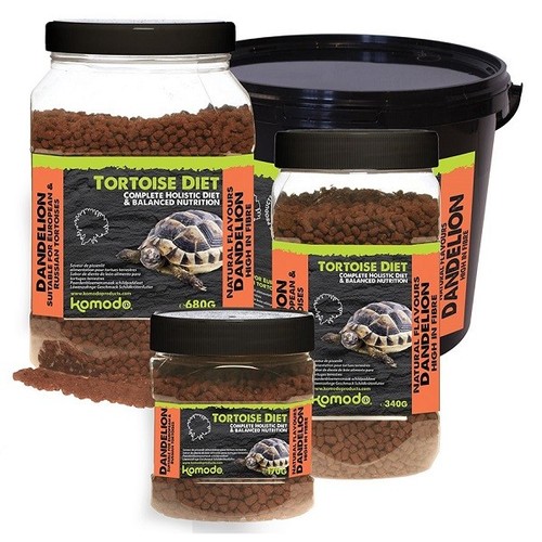 Komodo tortoise food - food, holistic