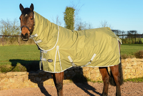 Horse turnout rug 50g - turnout,
