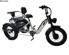 20" Electric Tricycle 48V 12Ah