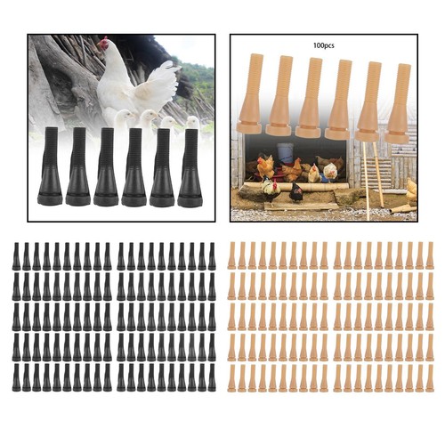 Domestic bird plucking - domestic,