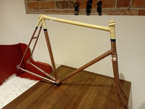 Batavus champion 1979 - champion,