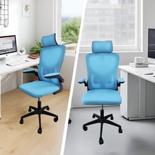 Ergonomic High-Back Mesh