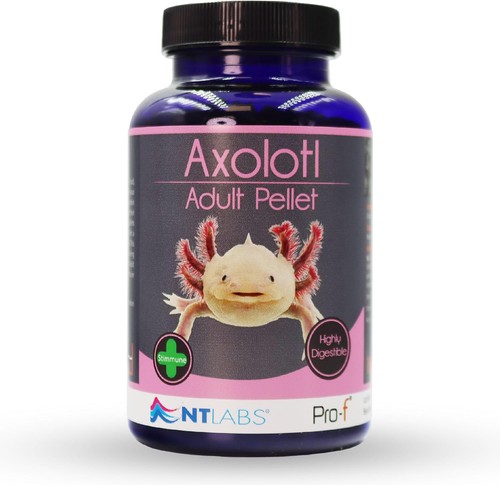 Labs pro axolotl adult - labs,