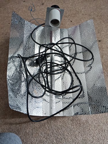 Eurowing reflector for grow - for,
