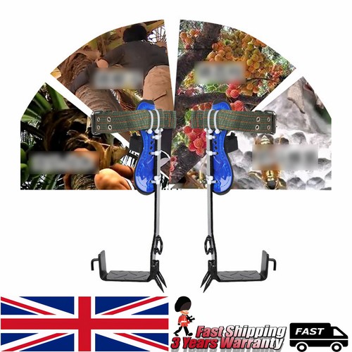 Gears tree climbing tool - 2,
