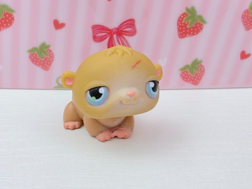 Hamster authentic - hamster,